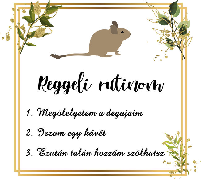 Reggeli rutin (degu)