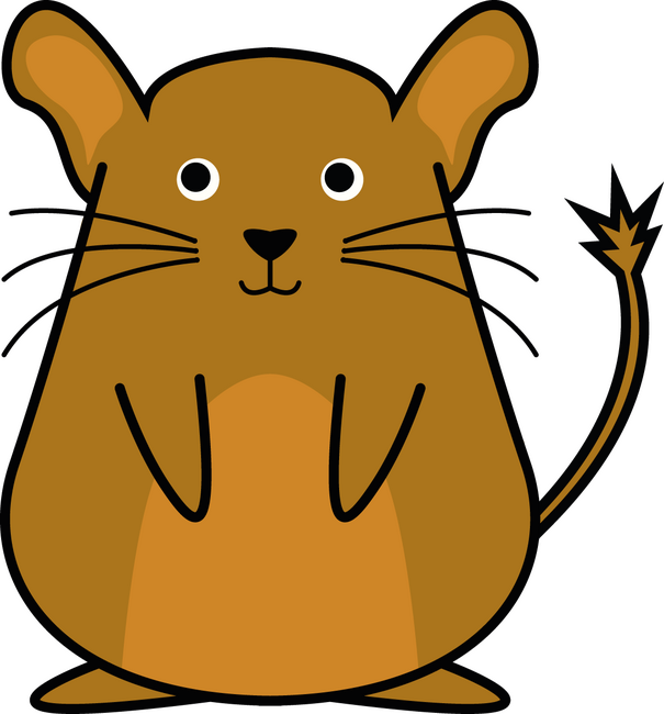 Degu