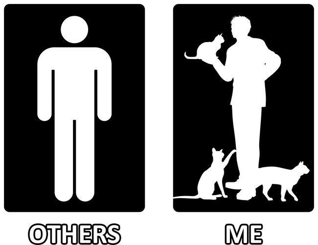 Others vs. Me (férfi) - macska