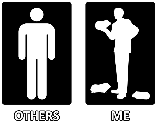 Others vs. Me (férfi) - tengerimalac