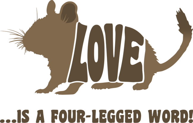 Love - Degu