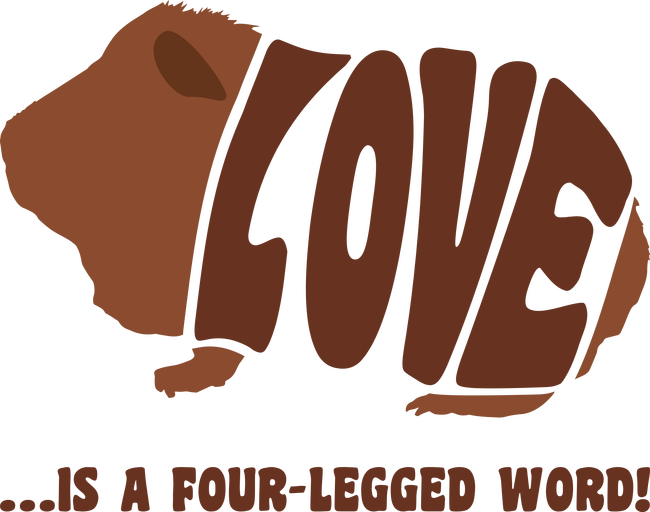 Love - Guinea pig