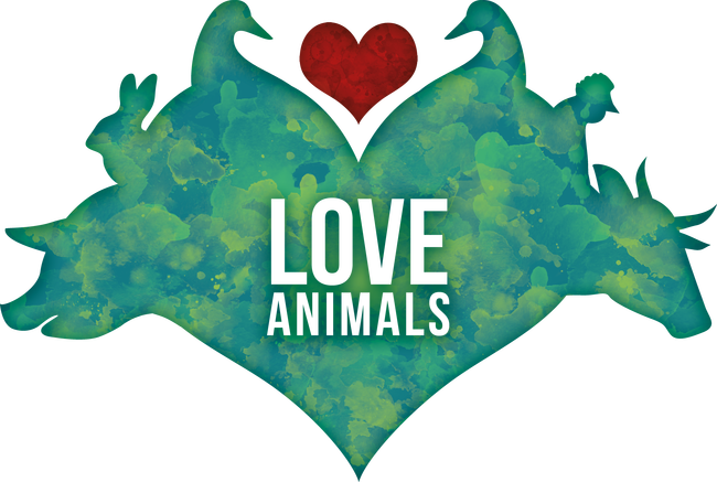Love animals