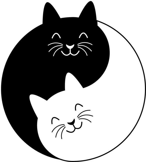 Yin-Yang cicák