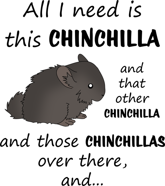 Csincsilla