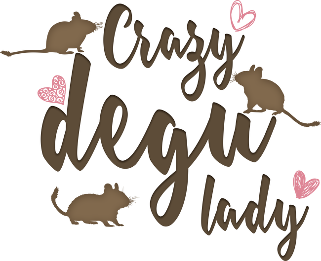 Crazy degu lady (színes)
