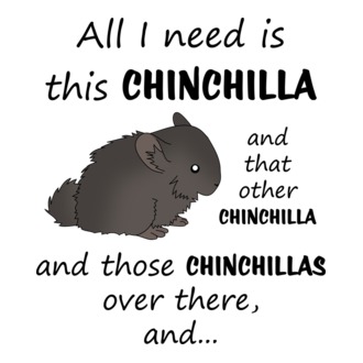 Csincsilla