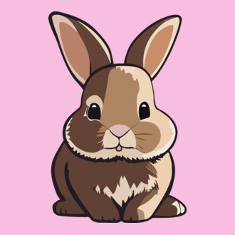 Cuki nyuszi