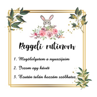 Reggeli rutin (nyuszi)