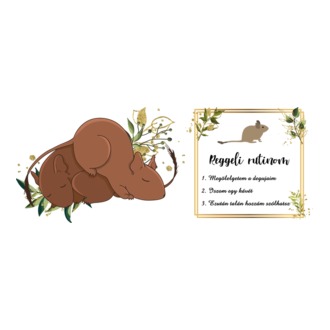 Reggeli rutin bögre (degu)
