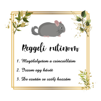 Reggeli rutin (csincsilla)