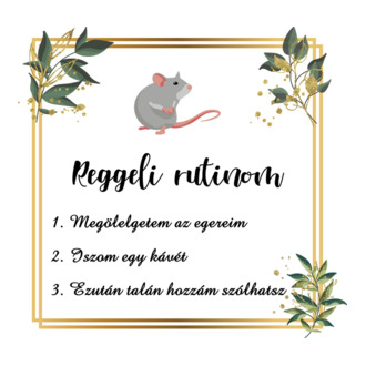 Reggeli rutin (egér)