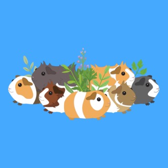 Tengerimalacok