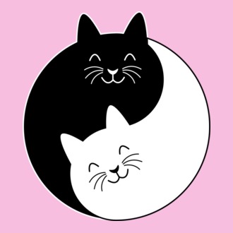 Yin-Yang cicák
